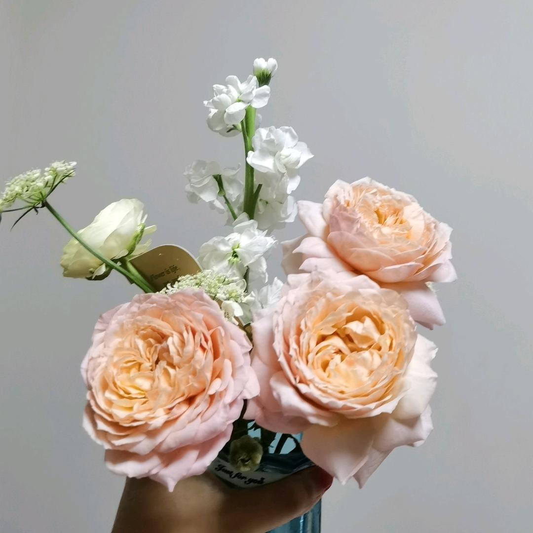 笑看花开花落