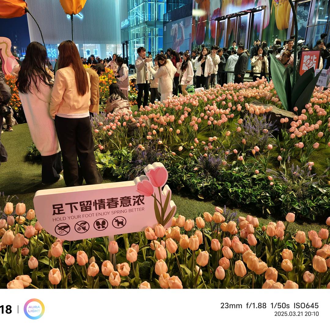 不吃酸菜
