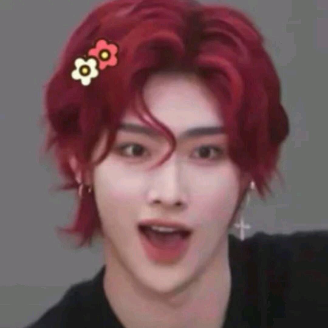 超级进化兽火焰鸟