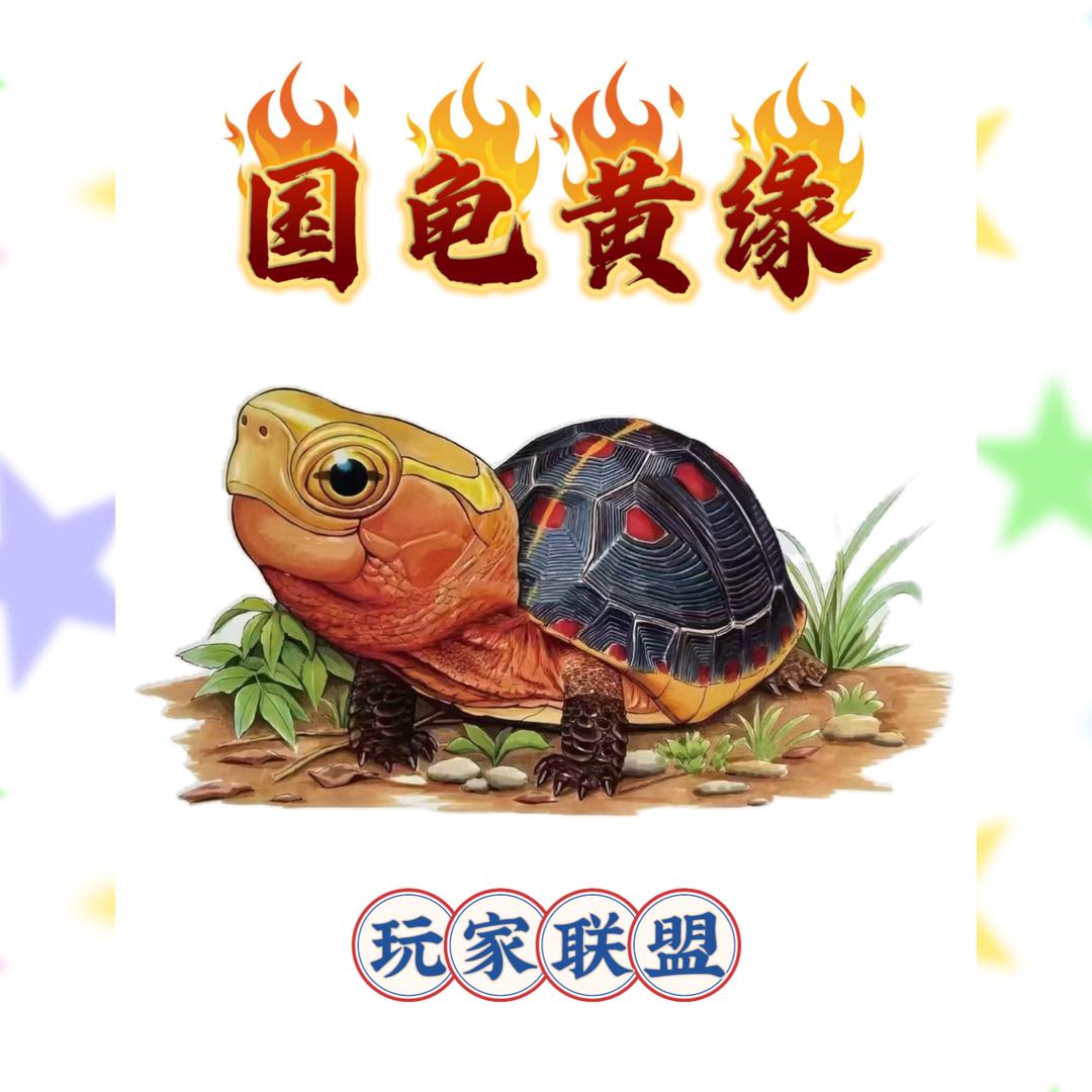 一起玩黄缘