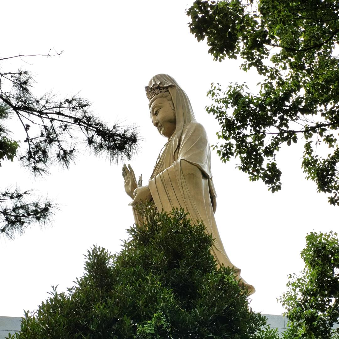 74🐯的退休生活