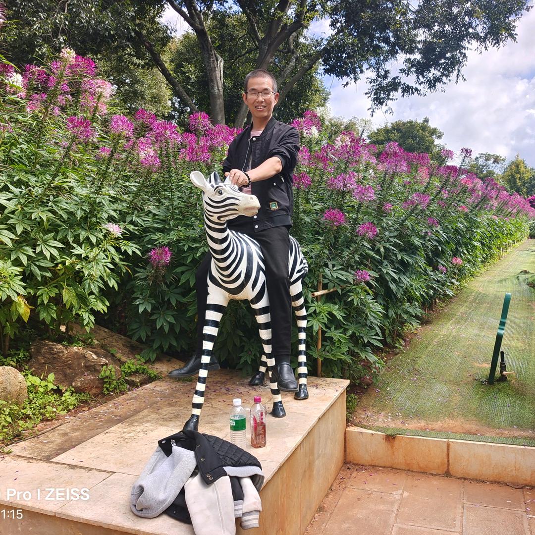 好运连连（蜂蜜哥）