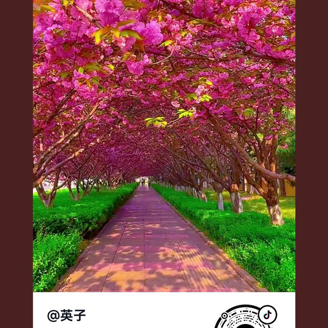 小禾～不私聊
