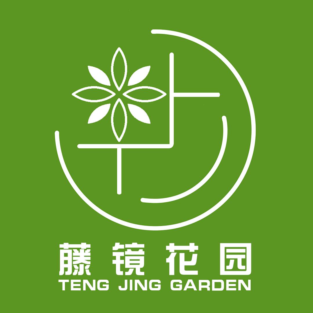 藤镜花园