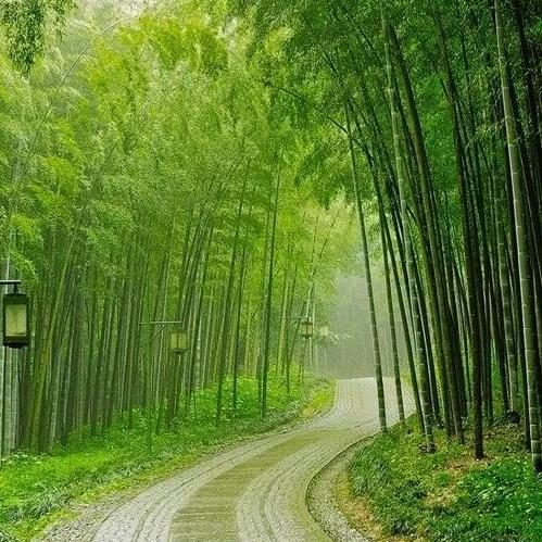 晨