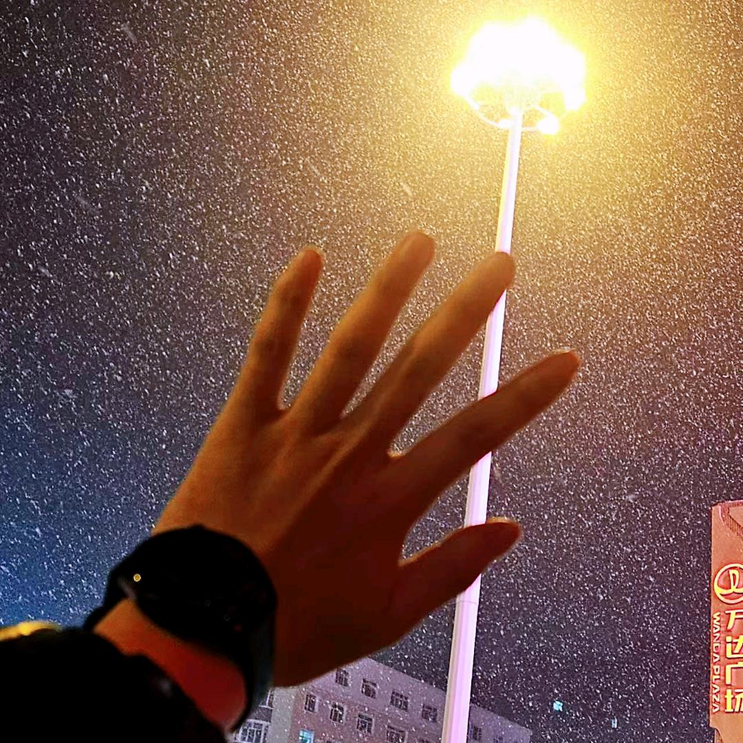 刘先生-