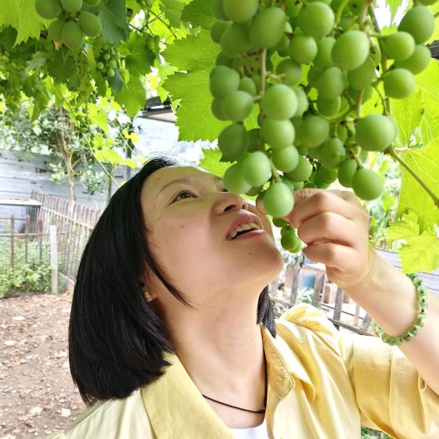 美好（首播筹备中）