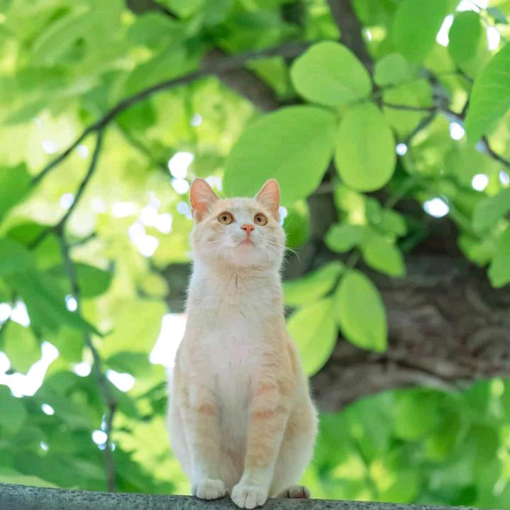 种瓜婷姐
