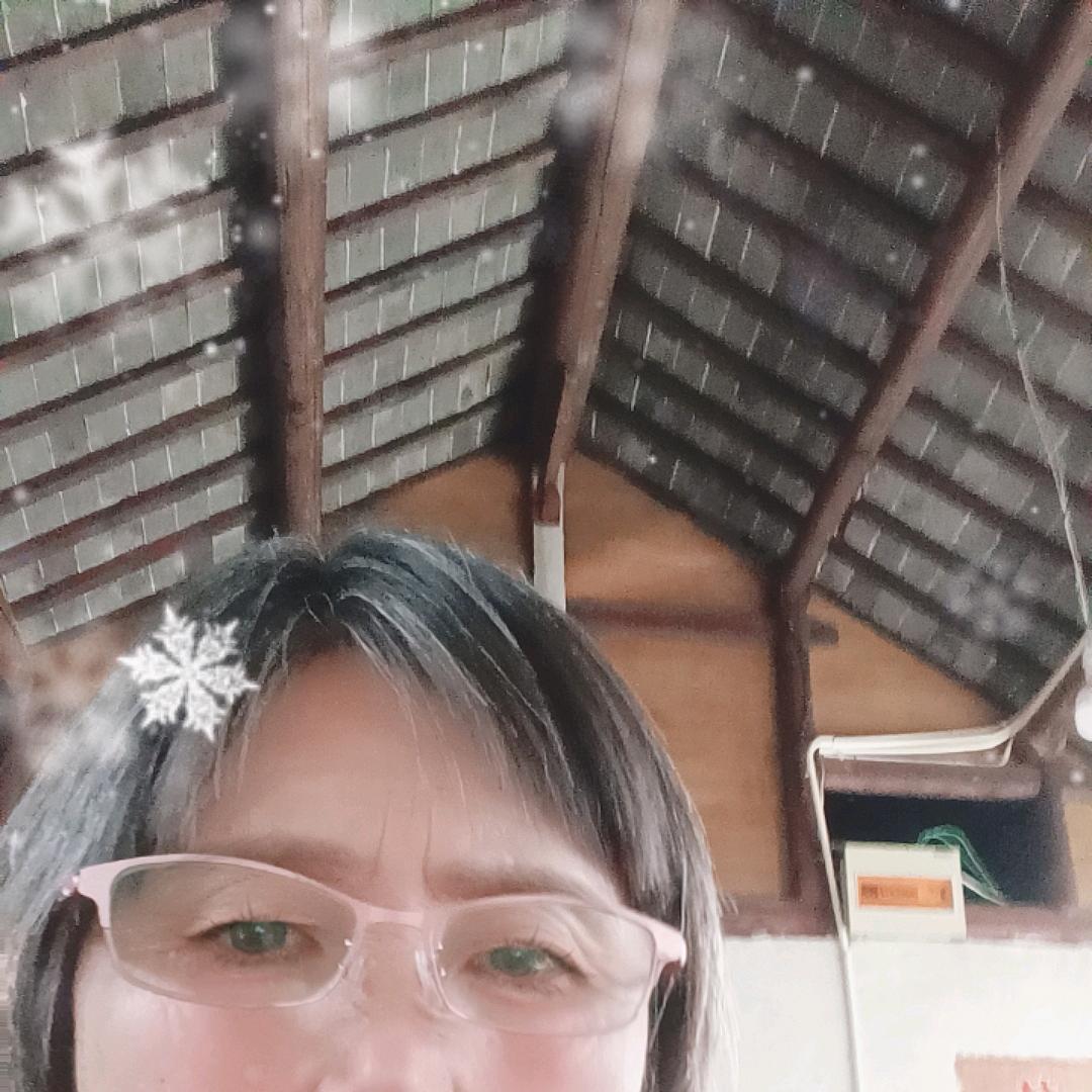 陈美凤