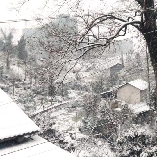 人生短短几十年