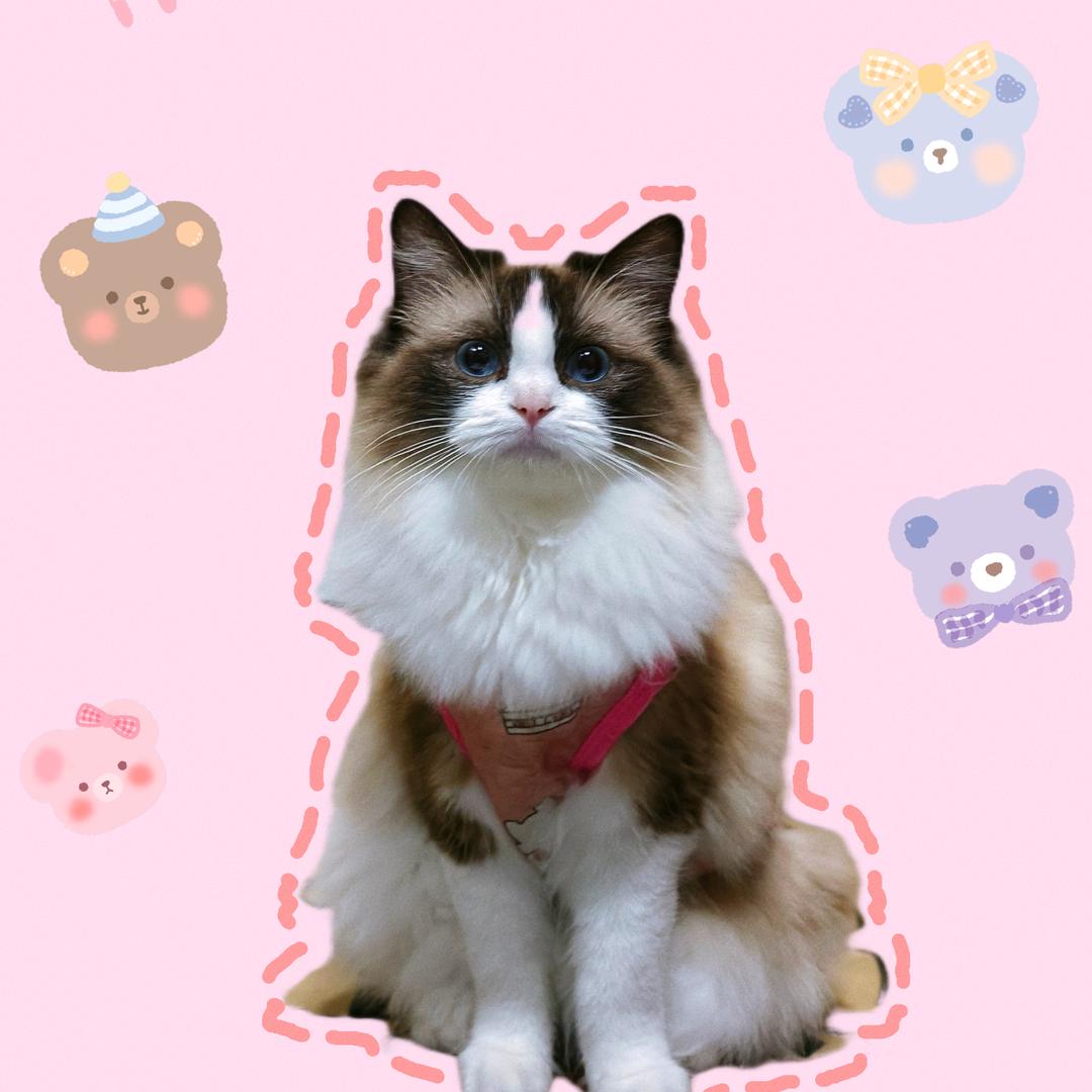 又菜又爱玩的人