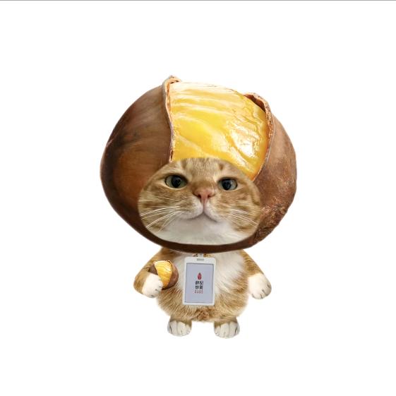 出差的糖炒栗子