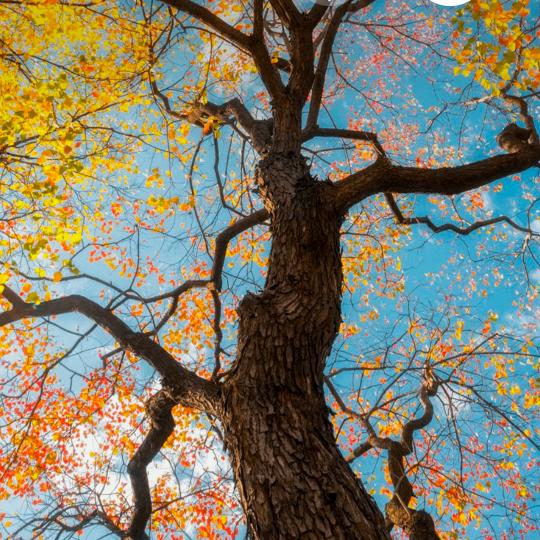 开心快乐每一天