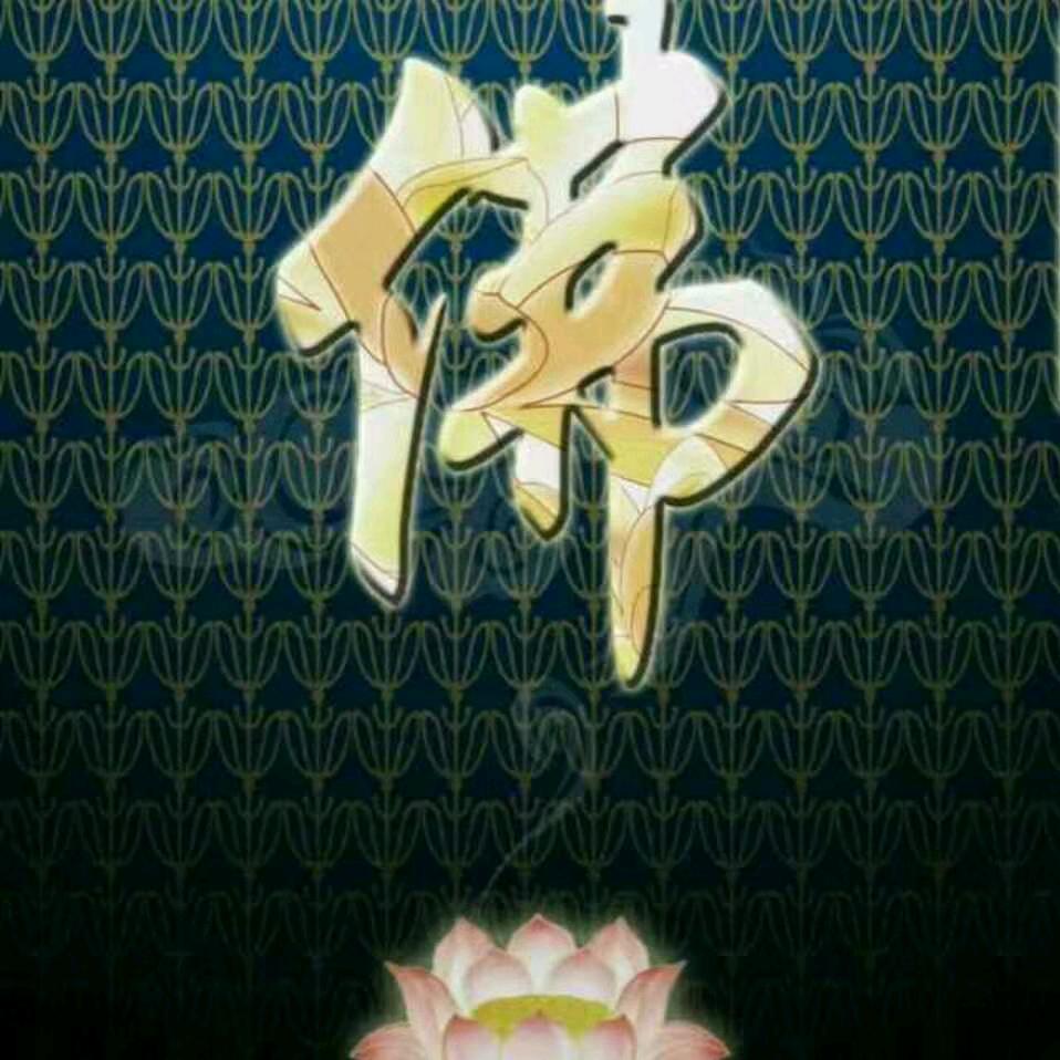 少龙