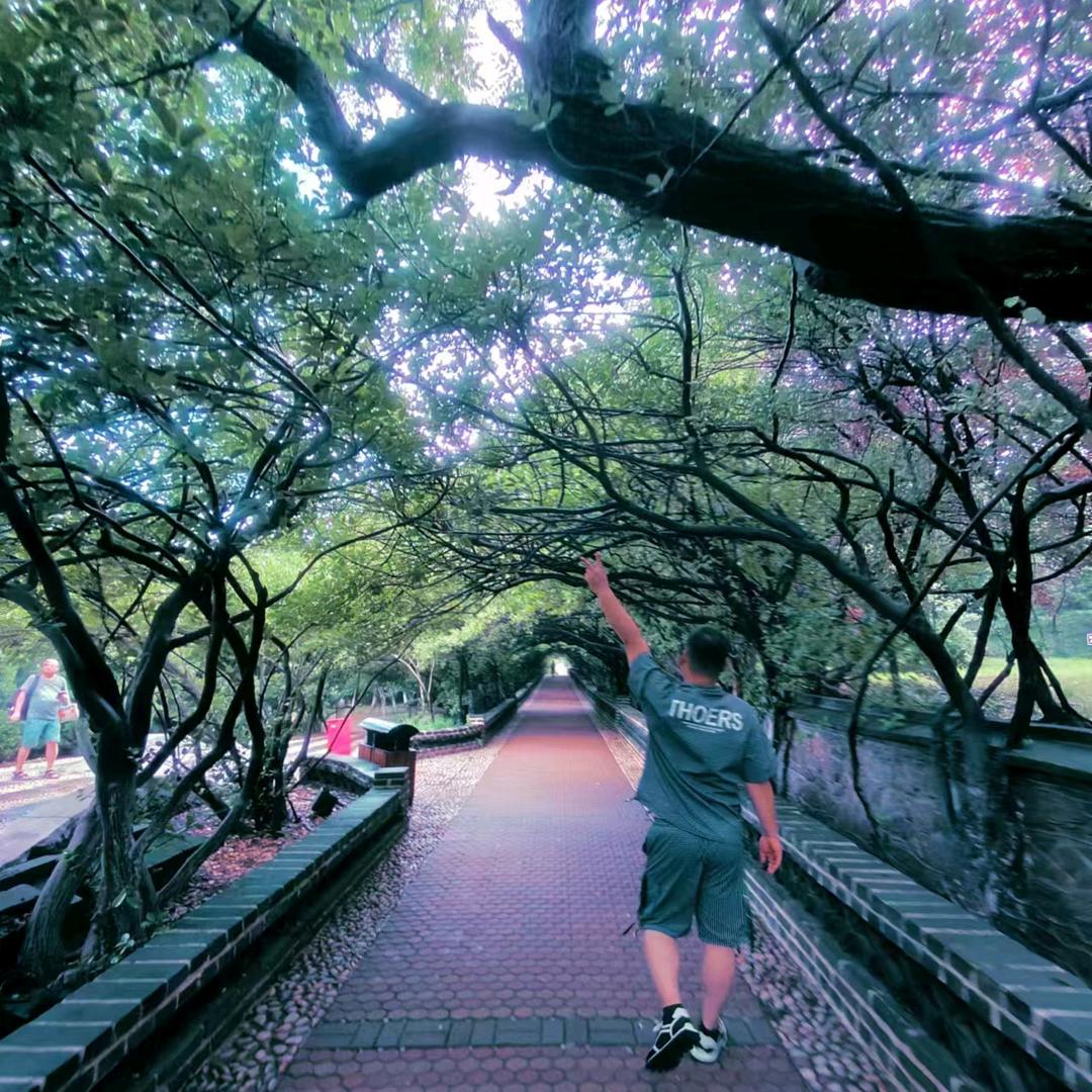 喜欢于都唢呐的杜二娘头像