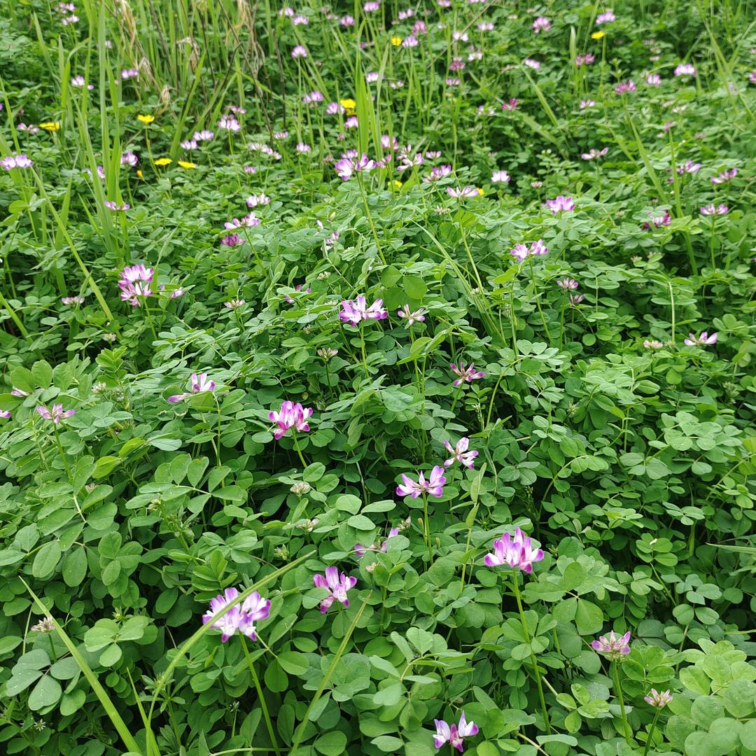 ꪶꪮꪰ曉ꪤꫀ銀 ⅓賊