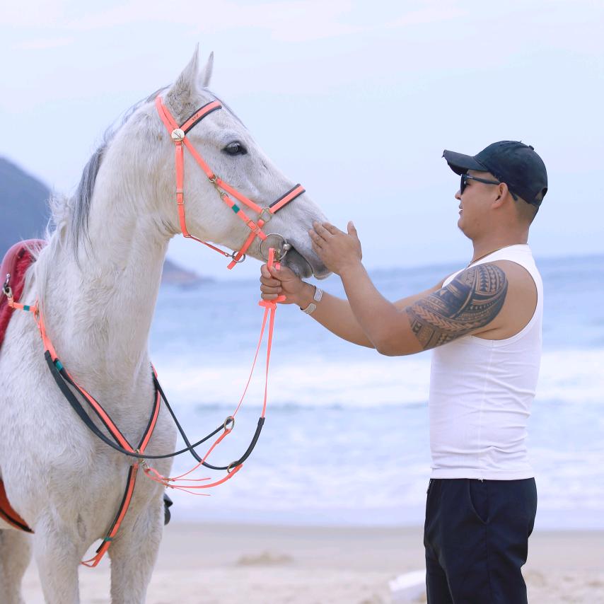 🌊澜鞍海骑🌊