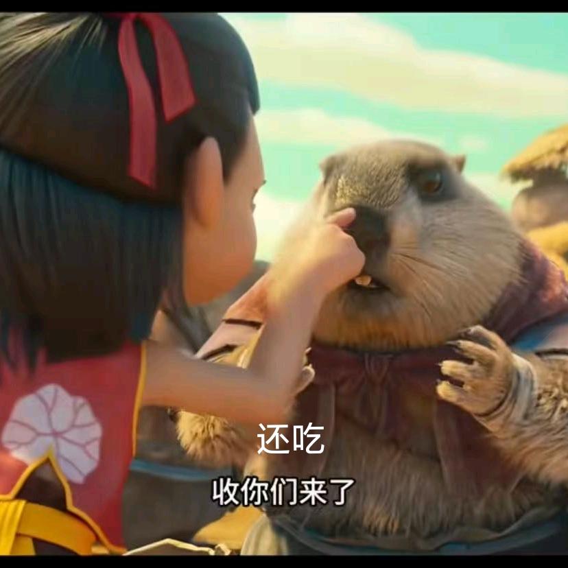 小曾（减肥中，以后别叫胖哥）