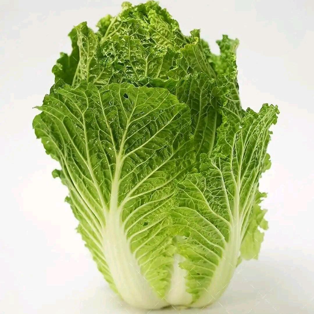 蔡    潇