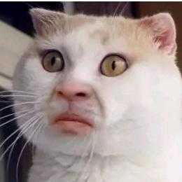 非国家官方认证美女头子