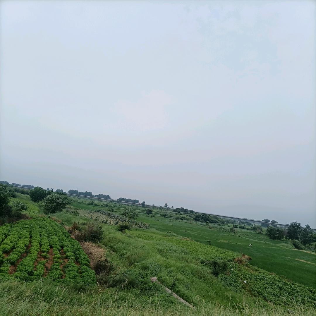 没有名字