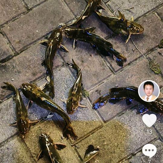 爱钓鱼的小朱
