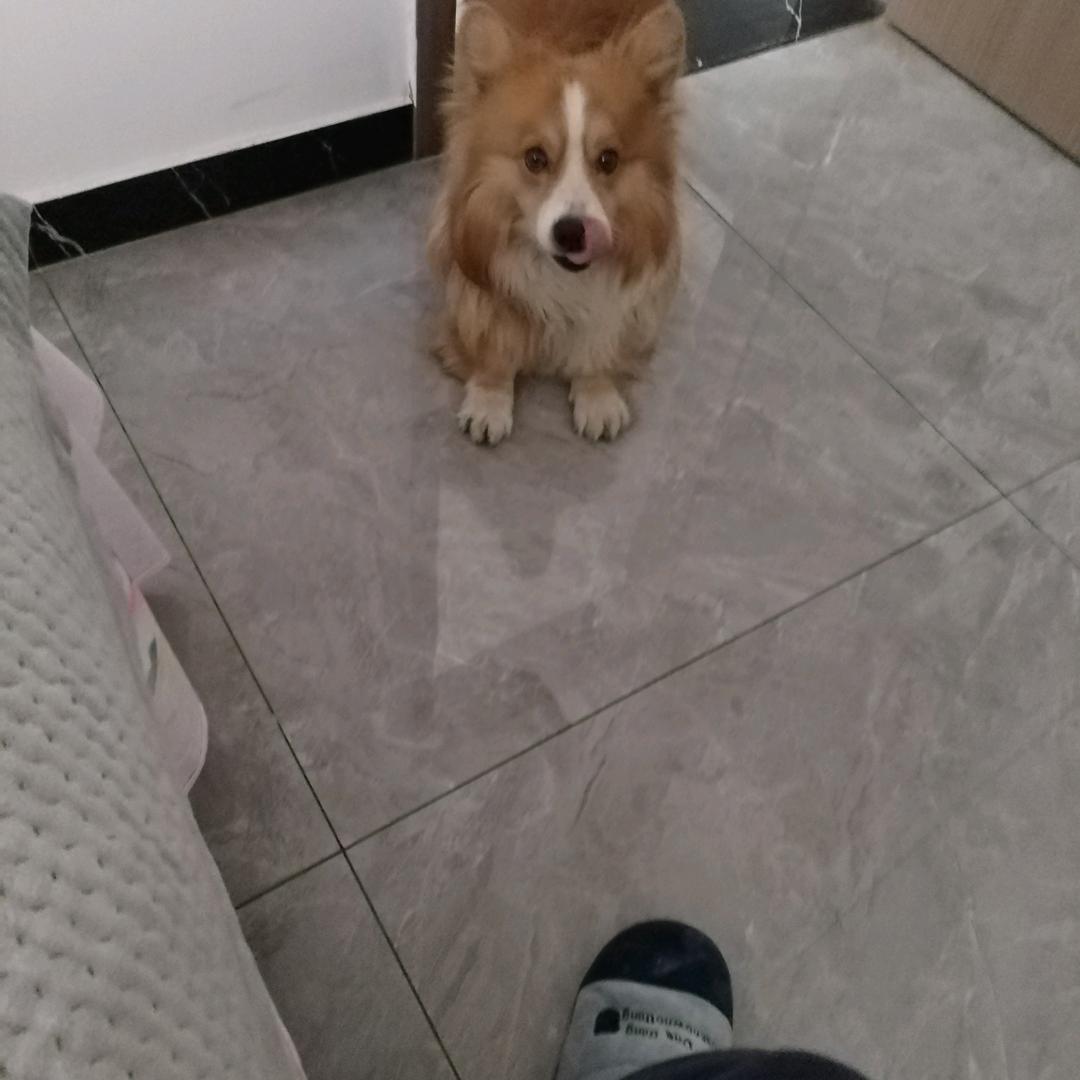 全心全意