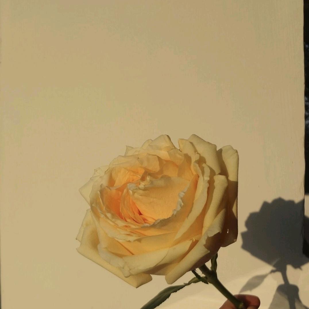 槿问