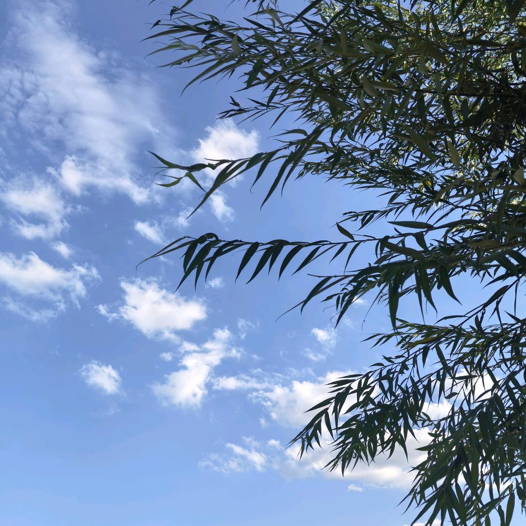 方城丰达好农资
