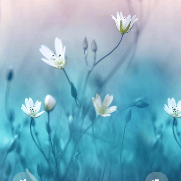 春暖花开