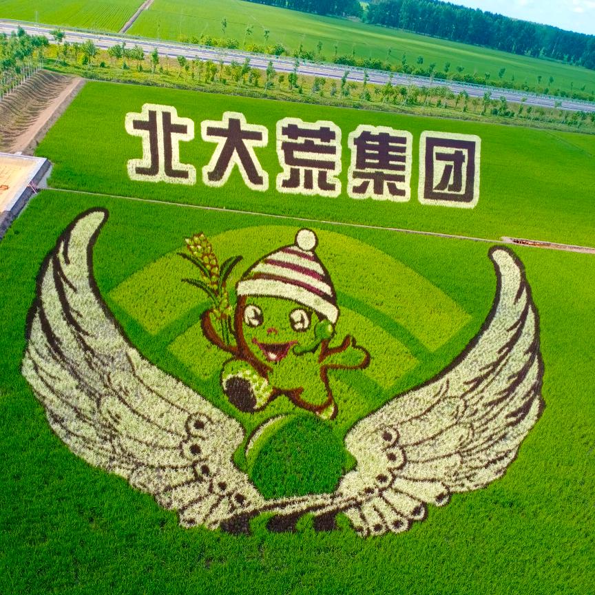 超哥修改名字