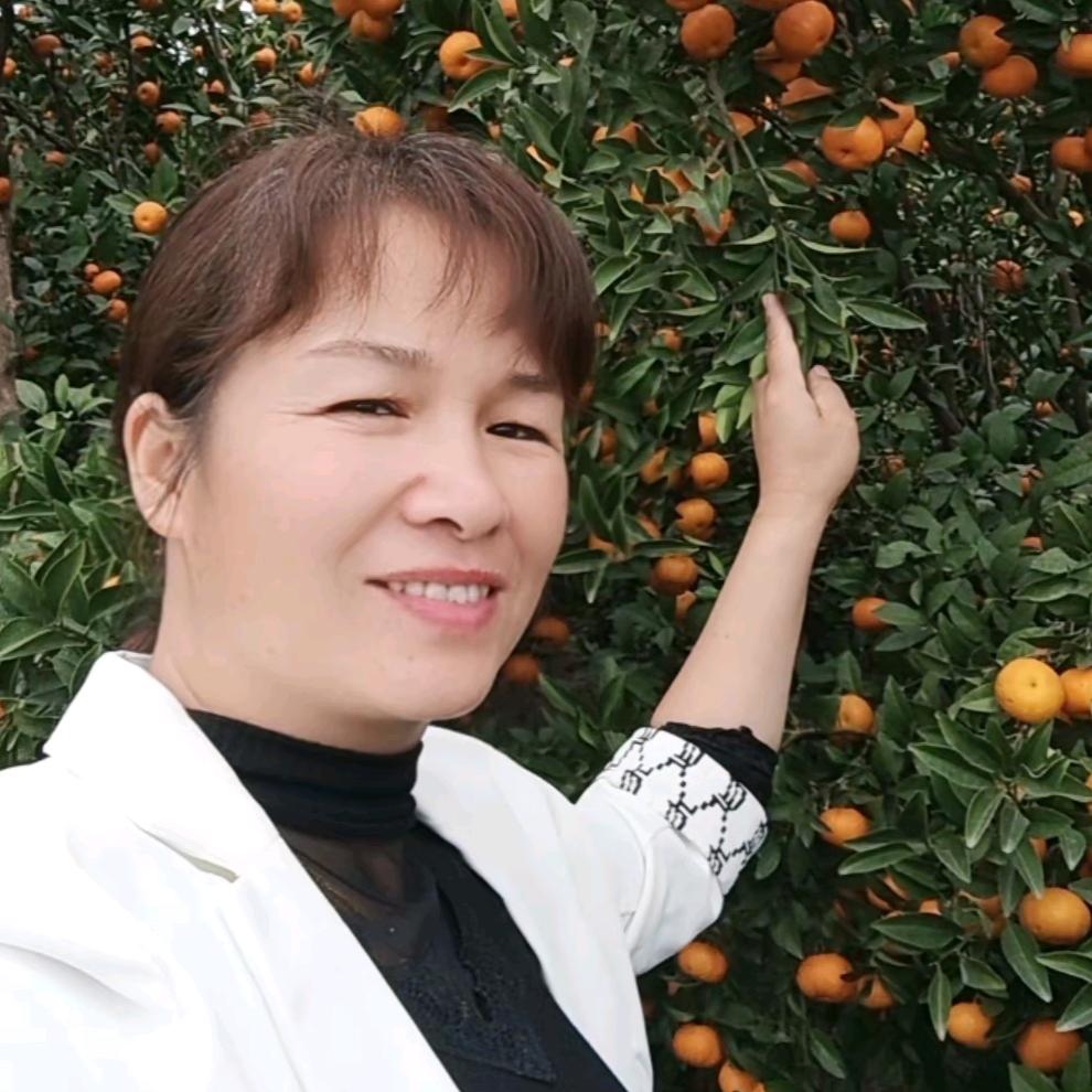 丽艳农资经营部