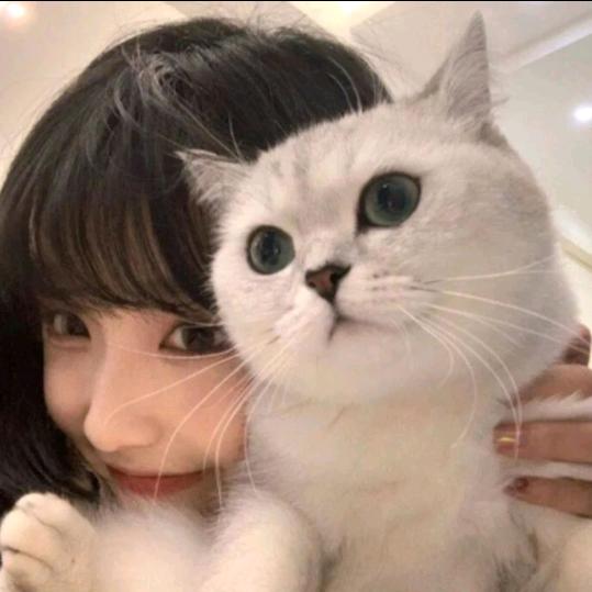 琳悠v头像
