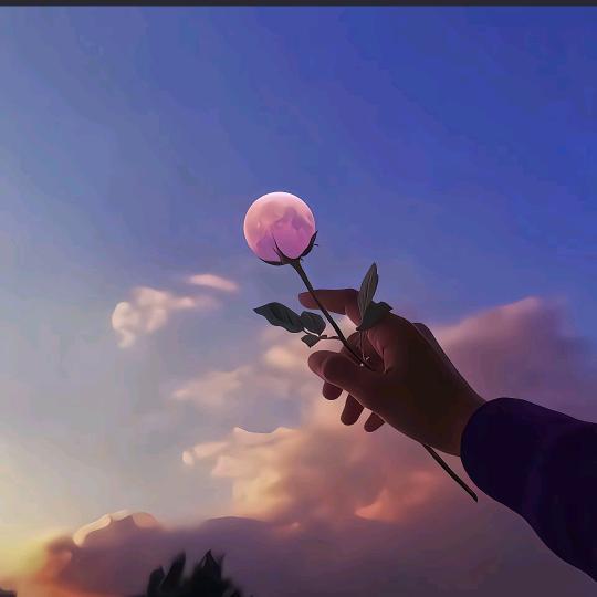 宋你一朵小红花