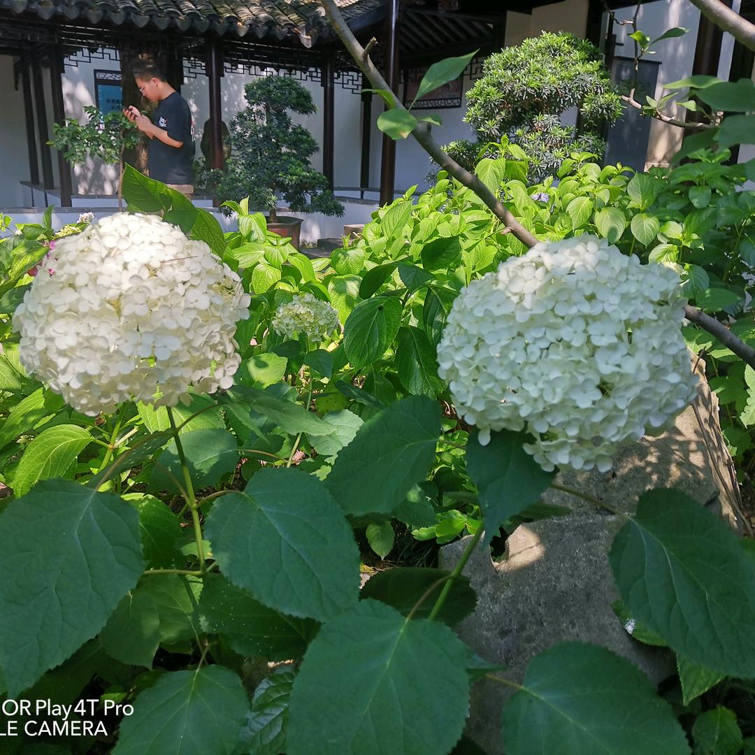 顺风顺水