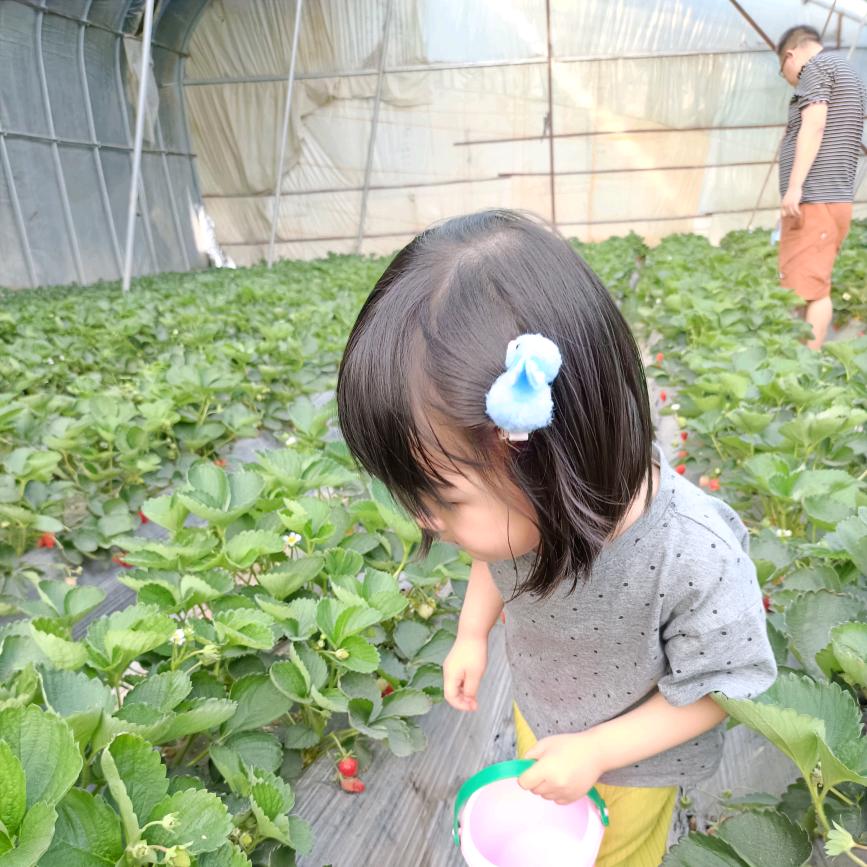 莓烦恼🌱