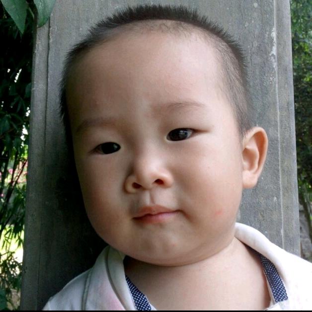 小叮丹