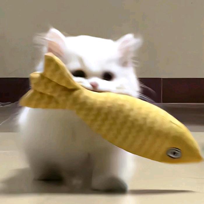 认蒸你就熟了