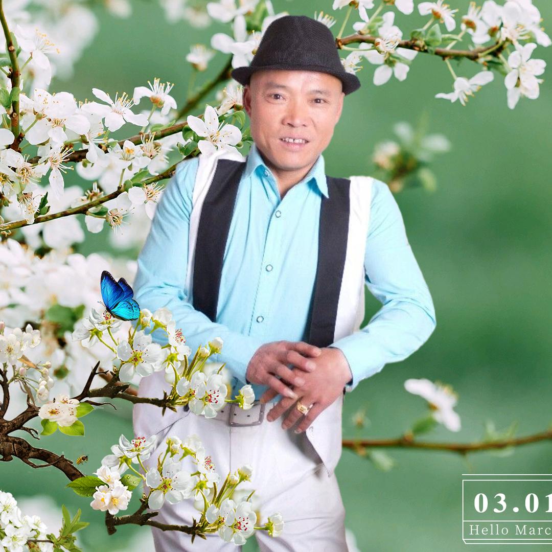 dsz鑫鑫