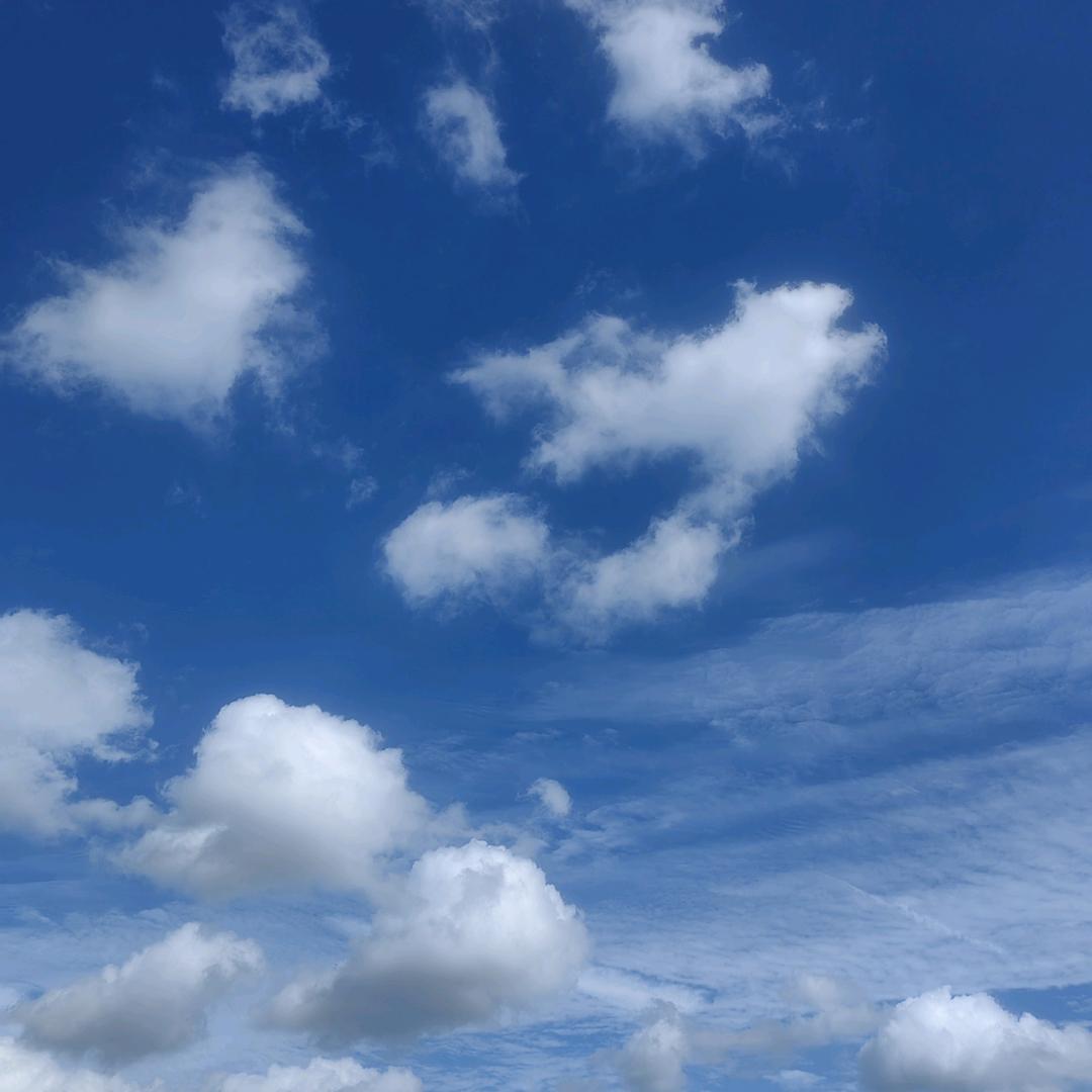 我就是我