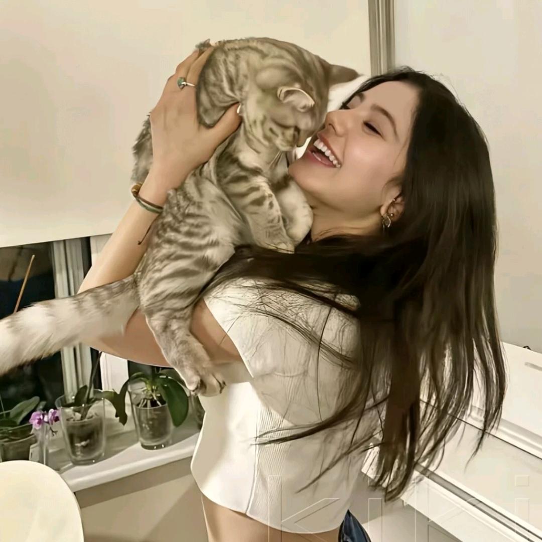 🔆