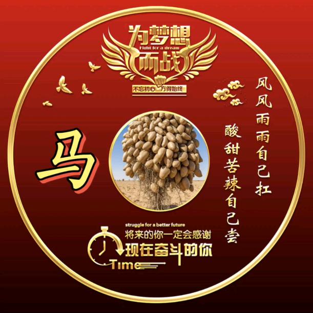 青海土豆代发全国