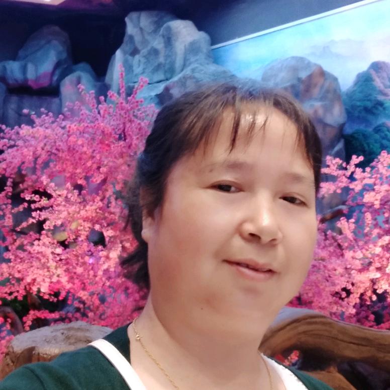 一支梅