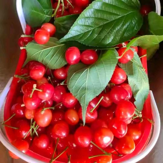 🌺🌺且行珍惜❤️❤️