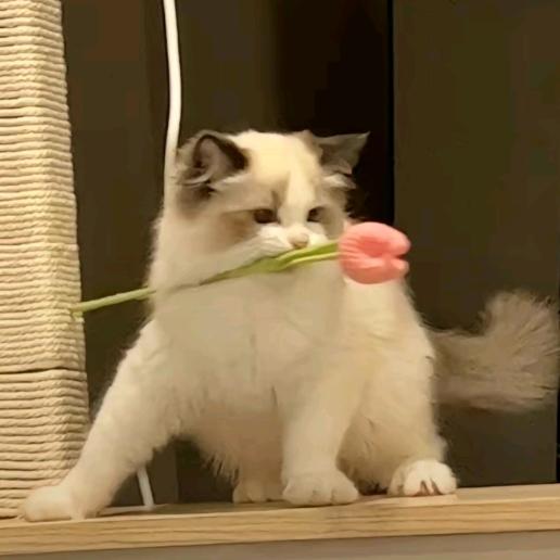 得