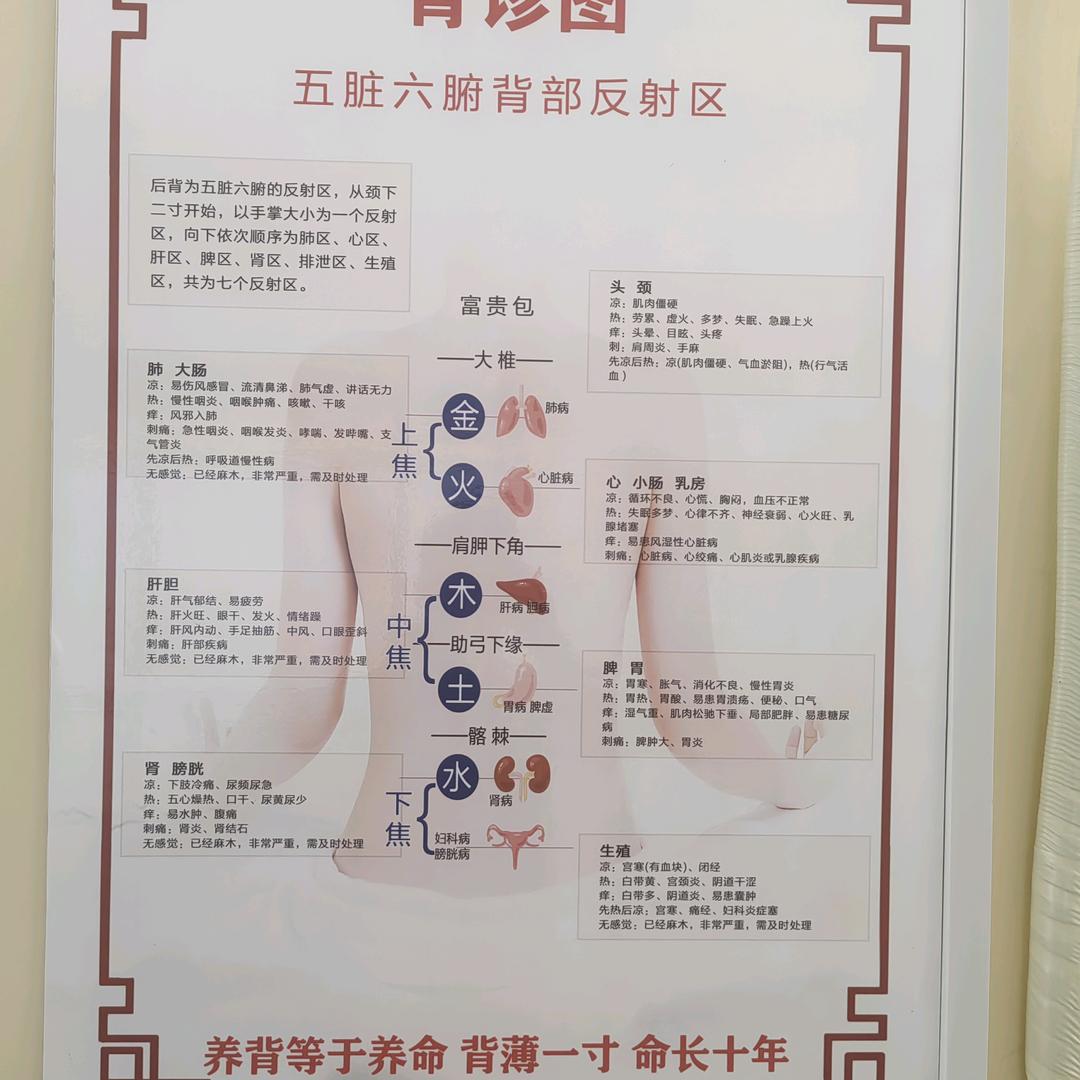 痛症理疗师