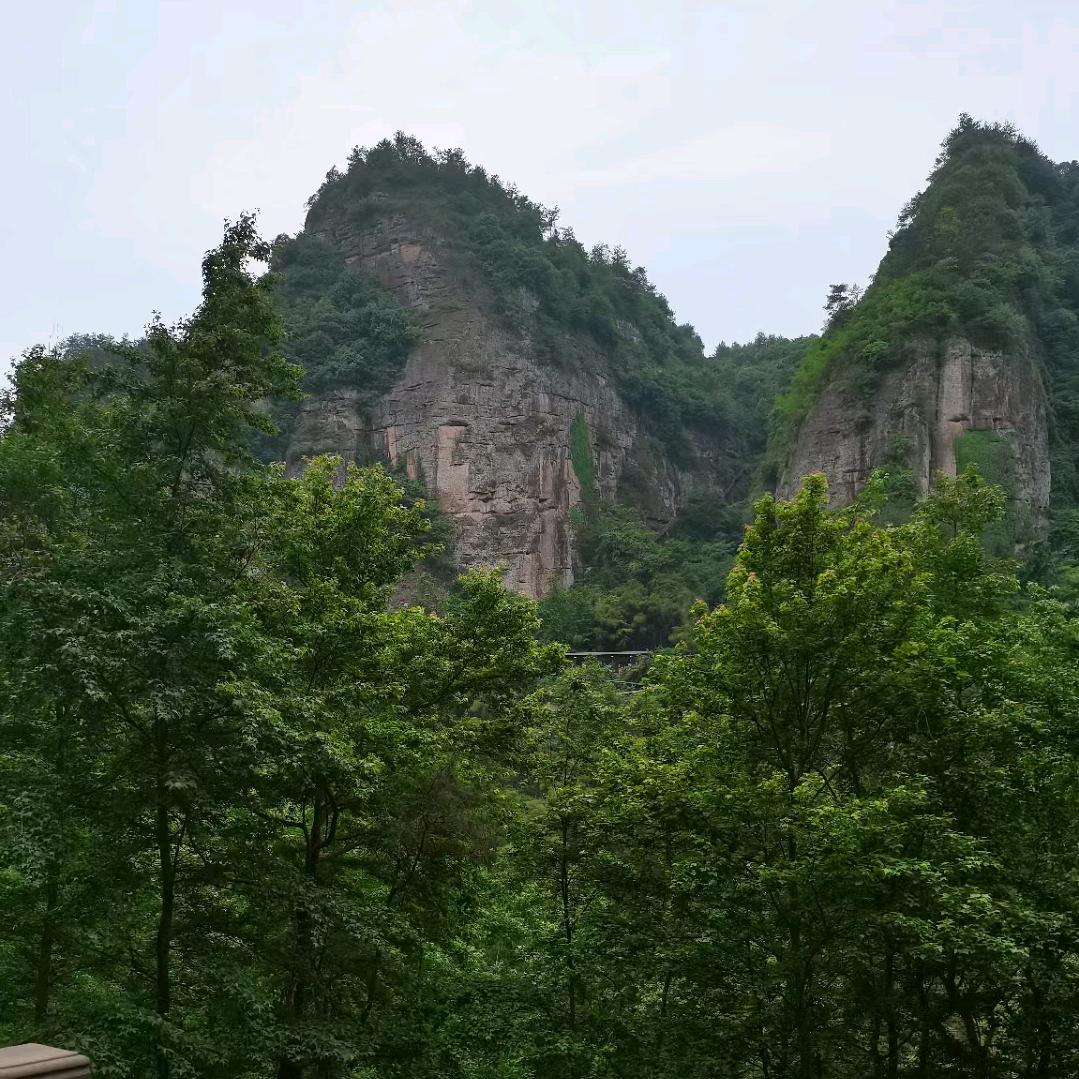 浪迹天涯人
