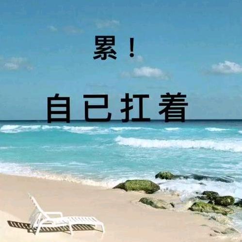✨满眼星陈✨