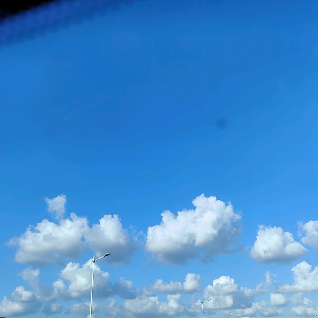 春风十里不如我