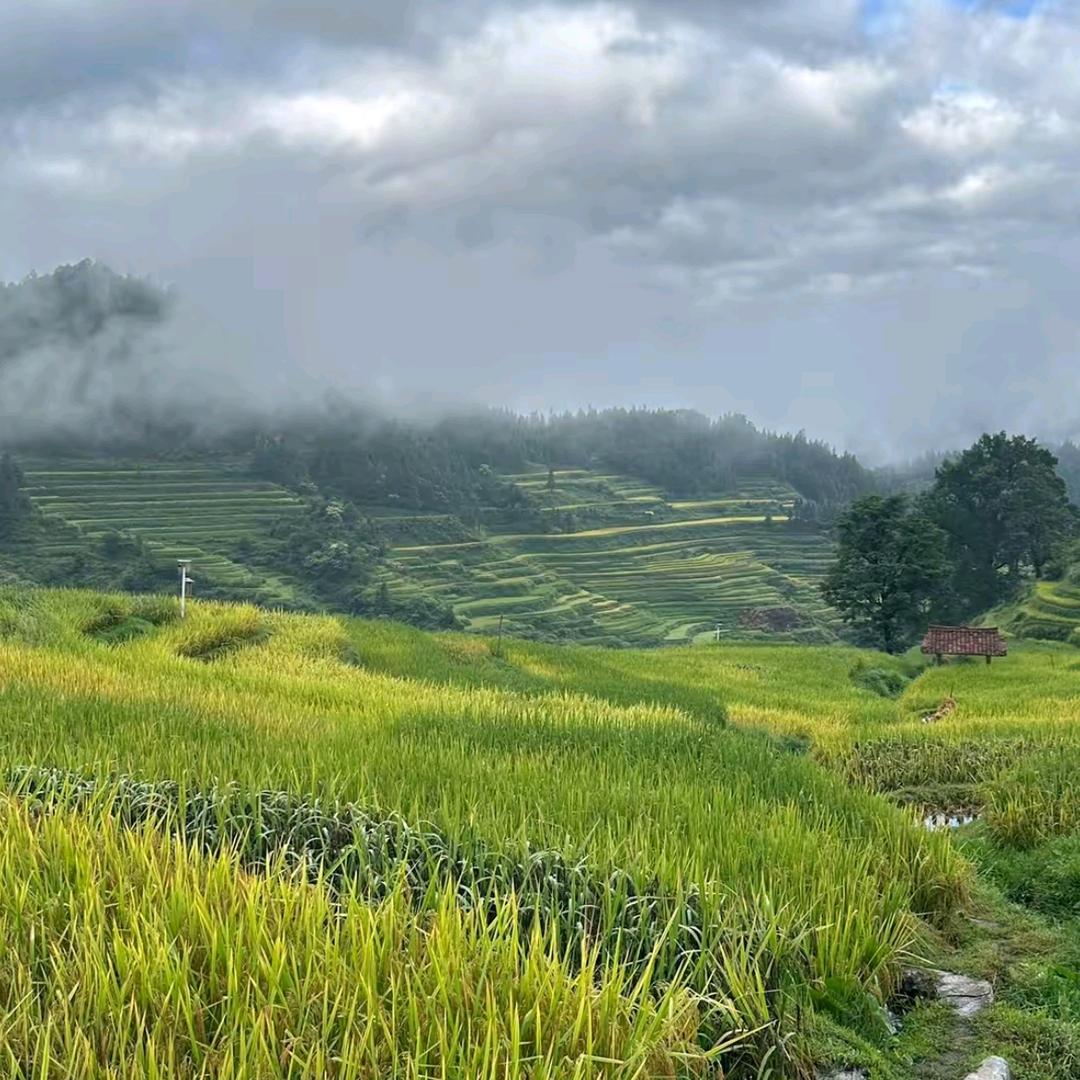 粮油米面工厂